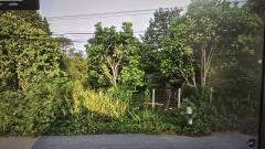 ขายที่สวนเจริญพร 28​ โร่​ 3​ งาน​ 62​ ตรว. ทิศตะวันออกติดถนนบำราศนราดูร (4 เลน)​ หน้ากว้าง​ 320​ เมตร ห่าง​ 8.5 ก.ม.จากถนนสุขุมวิท​ (แยกเขาไร่ยา) มีถนนดำด้านเหนือและคลองล้อมด้านตะวันตก/ใต้ มีทุเรียน​ มังคุด​ ลองกอง​ เก็บเกี่ยวผบได้อย่างละ​ เกือบ​ 300-202509161220421758000042617.jpg