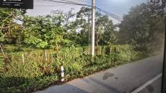 ขายที่สวนเจริญพร 28​ โร่​ 3​ งาน​ 62​ ตรว. ทิศตะวันออกติดถนนบำราศนราดูร (4 เลน)​ หน้ากว้าง​ 320​ เมตร ห่าง​ 8.5 ก.ม.จากถนนสุขุมวิท​ (แยกเขาไร่ยา) มีถนนดำด้านเหนือและคลองล้อมด้านตะวันตก/ใต้ มีทุเรียน​ มังคุด​ ลองกอง​ เก็บเกี่ยวผบได้อย่างละ​ เกือบ​ 300-202509161220461758000046249.jpg