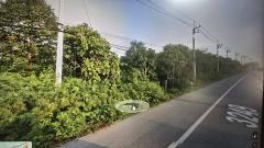 ขายที่สวนเจริญพร 28​ โร่​ 3​ งาน​ 62​ ตรว. ทิศตะวันออกติดถนนบำราศนราดูร (4 เลน)​ หน้ากว้าง​ 320​ เมตร ห่าง​ 8.5 ก.ม.จากถนนสุขุมวิท​ (แยกเขาไร่ยา) มีถนนดำด้านเหนือและคลองล้อมด้านตะวันตก/ใต้ มีทุเรียน​ มังคุด​ ลองกอง​ เก็บเกี่ยวผบได้อย่างละ​ เกือบ​ 300-202509161220471758000047352.jpg