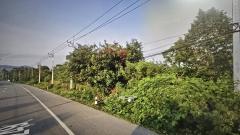 ขายที่สวนเจริญพร 28​ โร่​ 3​ งาน​ 62​ ตรว. ทิศตะวันออกติดถนนบำราศนราดูร (4 เลน)​ หน้ากว้าง​ 320​ เมตร ห่าง​ 8.5 ก.ม.จากถนนสุขุมวิท​ (แยกเขาไร่ยา) มีถนนดำด้านเหนือและคลองล้อมด้านตะวันตก/ใต้ มีทุเรียน​ มังคุด​ ลองกอง​ เก็บเกี่ยวผบได้อย่างละ​ เกือบ​ 300-202509161220471758000047898.jpg