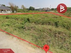 ขายที่ดิน เนื้อที่ 1 งาน 26 ตร.วา กำแพงแสน นครปฐม-202509161229091758000549077.jpg