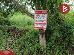 ขายที่ดิน-หมู่บ้านฟลอร่าวิลล์-พาร์