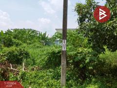 ขายที่ดิน หมู่บ้านฟลอร่าวิลล์ พาร์คซิตี้ สุวินทวงศ์ หนองจอก กรุงเทพมหานคร-202509161246191758001579644.jpg