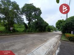 ขายที่ดิน หมู่บ้านฟลอร่าวิลล์ พาร์คซิตี้ สุวินทวงศ์ หนองจอก กรุงเทพมหานคร-202509161246201758001580705.jpg