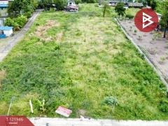 ขายที่ดิน-เนื้อที่-1-ไร่-3-งาน-14-ตร.วา-ปา