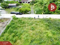 ขายที่ดิน เนื้อที่ 1 ไร่ 3 งาน 14 ตร.วา ปากเกร็ด นนทบุรี-202509161321451758003705581.jpg