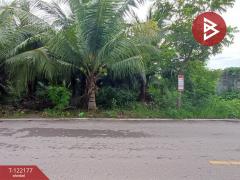 ขายที่ดิน-3-แปลง-แปลงละ-2-งาน-34-ตารางวา-