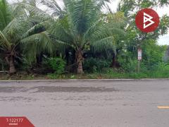 ขายที่ดิน 3 แปลง แปลงละ 2 งาน 34 ตารางวา คลองเขิน สมุทรสงคราม-202509161414411758006881364.jpg