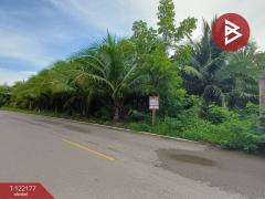 ขายที่ดิน 3 แปลง แปลงละ 2 งาน 34 ตารางวา คลองเขิน สมุทรสงคราม-202509161414431758006883317.jpg