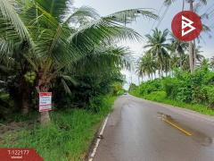 ขายที่ดิน 3 แปลง แปลงละ 2 งาน 34 ตารางวา คลองเขิน สมุทรสงคราม-202509161414431758006883848.jpg