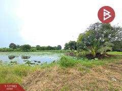 ขายที่ดิน-เนื้อที่-5-ไร่-2-งาน-23-ตร.วา-พน