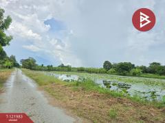 ขายที่ดิน เนื้อที่ 5 ไร่ 2 งาน 23 ตร.วา พนัสนิคม ชลบุรี-202509161427501758007670607.jpg