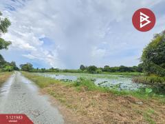 ขายที่ดิน เนื้อที่ 5 ไร่ 2 งาน 23 ตร.วา พนัสนิคม ชลบุรี-202509161427511758007671142.jpg