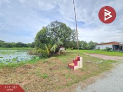 ขายที่ดิน เนื้อที่ 5 ไร่ 2 งาน 23 ตร.วา พนัสนิคม ชลบุรี-202509161427511758007671676.jpg