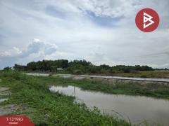 ขายที่ดิน เนื้อที่ 5 ไร่ 2 งาน 23 ตร.วา พนัสนิคม ชลบุรี-202509161427521758007672203.jpg