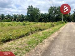 ขายที่ดิน เนื้อที่ 5 ไร่ 1 งาน 9 ตร.วา ท่าแซะ ชุมพร-202509161445361758008736882.jpg