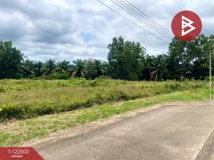 ขายที่ดิน เนื้อที่ 5 ไร่ 1 งาน 9 ตร.วา ท่าแซะ ชุมพร-202509161445371758008737411.jpg