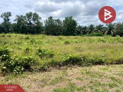 ขายที่ดิน เนื้อที่ 5 ไร่ 1 งาน 9 ตร.วา ท่าแซะ ชุมพร-202509161445371758008737944.jpg