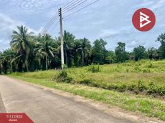 ขายที่ดิน เนื้อที่ 5 ไร่ 1 งาน 9 ตร.วา ท่าแซะ ชุมพร-202509161445381758008738470.jpg