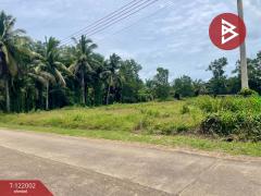 ขายที่ดิน เนื้อที่ 5 ไร่ 1 งาน 9 ตร.วา ท่าแซะ ชุมพร-202509161445381758008738989.jpg