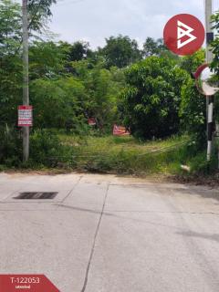 ขายที่ดิน-เนื้อที่-92-ตร.วา-พานทอง-ชลบ