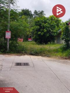 ขายที่ดิน เนื้อที่ 92 ตร.วา พานทอง ชลบุรี-202509161446161758008776406.jpg