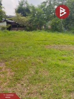 ขายที่ดิน เนื้อที่ 92 ตร.วา พานทอง ชลบุรี-202509161446161758008776917.jpg