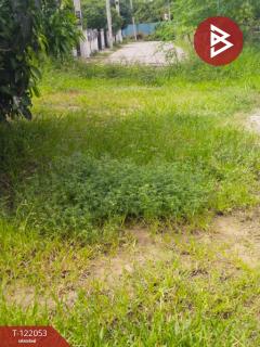 ขายที่ดิน เนื้อที่ 92 ตร.วา พานทอง ชลบุรี-202509161446171758008777951.jpg