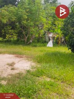 ขายที่ดิน เนื้อที่ 92 ตร.วา พานทอง ชลบุรี-202509161446181758008778463.jpg