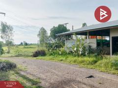 ขายบ้านเดี่ยว และโรงเพาะเลี้ยงปลา พร้อมสวนผลไม้ เนื้อที่ 28 ไร่ 3 งาน 40.1 ตารางวา บางกระทุ่ม พิษณุโลก