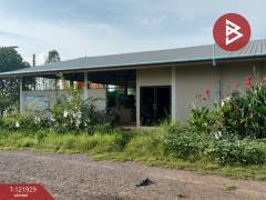 ขายบ้านเดี่ยว และโรงเพาะเลี้ยงปลา พร้อมสวนผลไม้ เนื้อที่ 28 ไร่ 3 งาน 40.1 ตารางวา บางกระทุ่ม พิษณุโลก-202509161447231758008843824.jpg