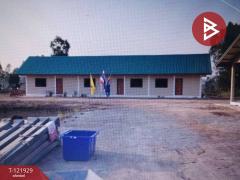 ขายบ้านเดี่ยว และโรงเพาะเลี้ยงปลา พร้อมสวนผลไม้ เนื้อที่ 28 ไร่ 3 งาน 40.1 ตารางวา บางกระทุ่ม พิษณุโลก-202509161447261758008846462.jpg