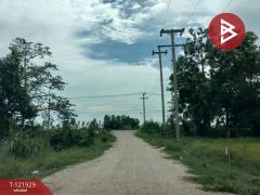 ขายบ้านเดี่ยว และโรงเพาะเลี้ยงปลา พร้อมสวนผลไม้ เนื้อที่ 28 ไร่ 3 งาน 40.1 ตารางวา บางกระทุ่ม พิษณุโลก-202509161447321758008852239.jpg