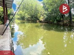 ขายบ้านเดี่ยว หมู่บ้านไพศาลปาร์ควิลล์ นิมิตใหม่ คลองสามวา กรุงเทพมหานคร-202509161458461758009526227.jpg