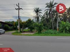 ขายที่ดิน เนื้อที่ 65.7 ตร.วา บางคนที สมุทรสงคราม-202509161527041758011224920.jpg