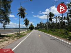 ขายที่ดิน เนื้อที่ 5 ไร่ 1 งาน 25 ตร.วา บางสะพาน ประจวบคีรีขันธ์