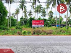 ขายที่ดิน เนื้อที่ 5 ไร่ 1 งาน 25 ตร.วา บางสะพาน ประจวบคีรีขันธ์-202509161540581758012058067.jpg