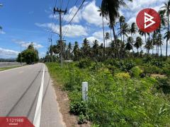 ขายที่ดิน เนื้อที่ 5 ไร่ 1 งาน 25 ตร.วา บางสะพาน ประจวบคีรีขันธ์-202509161540591758012059657.jpg