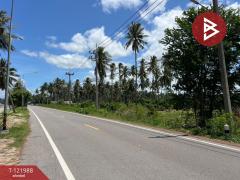 ขายที่ดิน เนื้อที่ 5 ไร่ 1 งาน 25 ตร.วา บางสะพาน ประจวบคีรีขันธ์-202509161541001758012060179.jpg