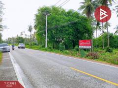 ขายที่ดิน เนื้อที่ 5 ไร่ 1 งาน 25 ตร.วา บางสะพาน ประจวบคีรีขันธ์-202509161541001758012060701.jpg