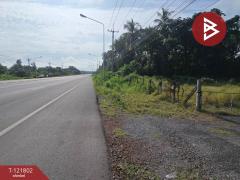 ขายที่ดินพร้อมสิ่งปลูกสร้าง เนื้อที่ 15 ไร่ 76 ตร.วา ตากฟ้า นครสวรรค์-202509161608281758013708187.jpg