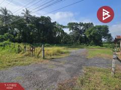 ขายที่ดินพร้อมสิ่งปลูกสร้าง เนื้อที่ 15 ไร่ 76 ตร.วา ตากฟ้า นครสวรรค์-202509161608281758013708712.jpg