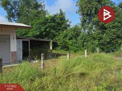 ขายที่ดินพร้อมสิ่งปลูกสร้าง เนื้อที่ 15 ไร่ 76 ตร.วา ตากฟ้า นครสวรรค์-202509161608291758013709780.jpg