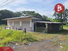 ขายที่ดินพร้อมสิ่งปลูกสร้าง เนื้อที่ 15 ไร่ 76 ตร.วา ตากฟ้า นครสวรรค์-202509161608301758013710821.jpg