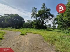 ขายที่ดินพร้อมสิ่งปลูกสร้าง เนื้อที่ 15 ไร่ 76 ตร.วา ตากฟ้า นครสวรรค์-202509161608321758013712909.jpg