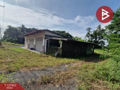 ขายที่ดินพร้อมสิ่งปลูกสร้าง เนื้อที่ 15 ไร่ 76 ตร.วา ตากฟ้า นครสวรรค์-202509161608331758013713946.jpg