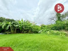 ขายที่ดิน เนื้อที่ 3 งาน 20 ตร.วา สำโรงเหนือ สมุทรปราการ-202509161631321758015092819.jpg