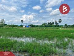 ขายที่ดิน เนื้อที่ 1 งาน เลาขวัญ กาญจนบุรี-202509161652241758016344948.jpg
