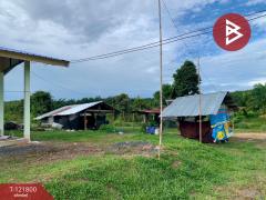 ขายที่ดิน เนื้อที่ 15 ไร่ 1 งาน 9 ตร.วา นาจะหลวย อุบลราชธานี-202509171001041758078064369.jpg