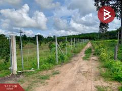 ขายที่ดิน เนื้อที่ 15 ไร่ 1 งาน 9 ตร.วา นาจะหลวย อุบลราชธานี-202509171001081758078068686.jpg